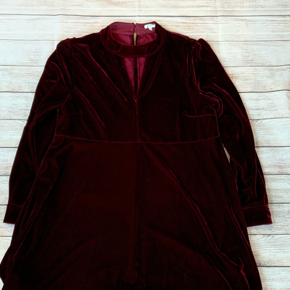 Gorgeous burgundy red velvet dress.
